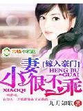 嫁入豪門:小妻很不乖小說