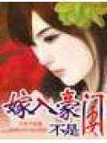 嫁入豪門不是妻小說