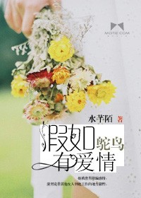 假如鴕鳥有愛情小說