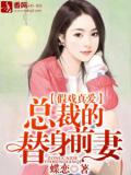 假戲真愛，總裁的替身前妻小說