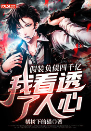 假裝負債四千億，我看透了人心小說