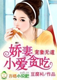繼承者的女人小說