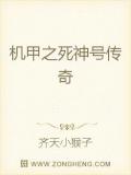 機甲之死神號傳奇小說