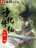 淨化修仙小說