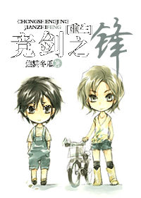 競劍之鋒小說