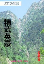 精武英豪小說