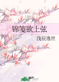 錦箋欲上弦小說