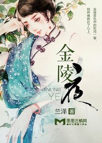 金陵夜小說