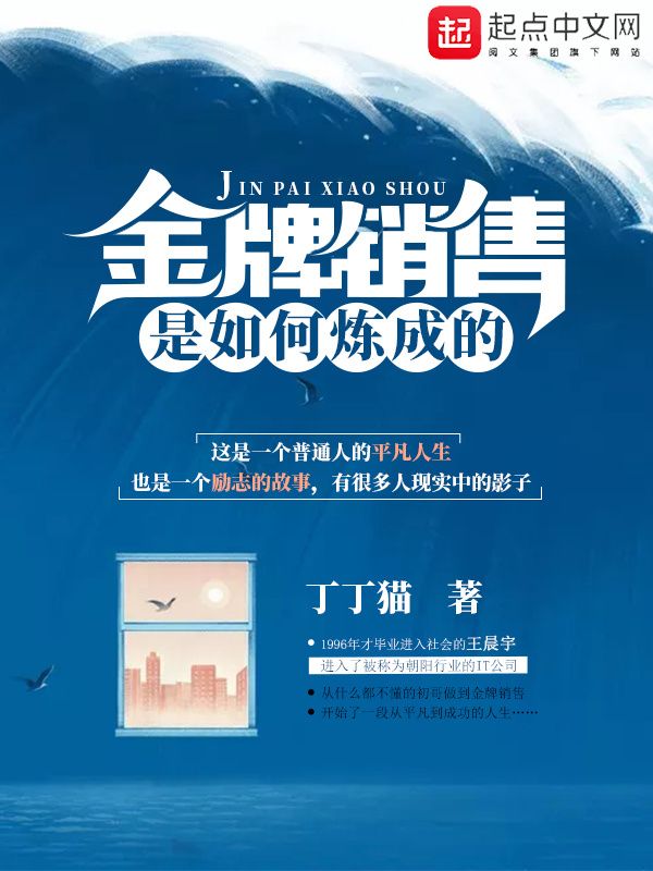 金牌銷售是如何煉成的小說