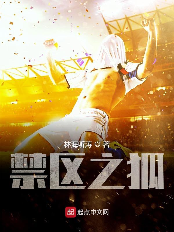 禁區之狐小說
