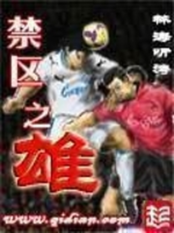 禁區之雄小說