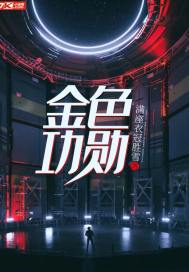金色功勳小說