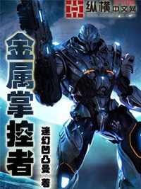 金屬掌控者小說