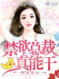 禁慾總裁，真能幹！小說