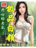 極品白領 - 殘夢斷憶小說