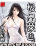 極品菜鳥小說
