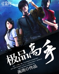 極品高手 - 畫雨小說
