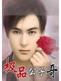 極品公子哥小說