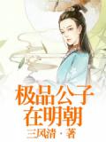 極品公子在明朝小說