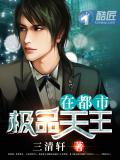 極品天王在都市小說
