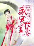 極品相公，盛寵下堂妻小說