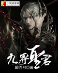 九界聖君小說