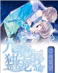 九魔獨寵我小說