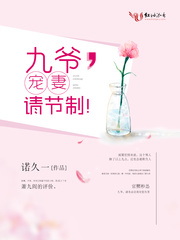 九爺，寵妻請節制！小說