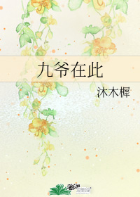 九爺在此小說