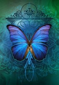 祭元 蒼蝶編小說