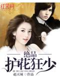 絕品護花狂少小說