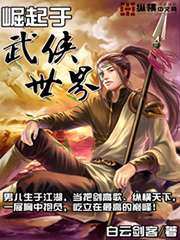 崛起於武俠世界小說