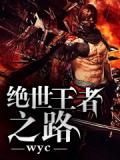 絕世王者之路小說