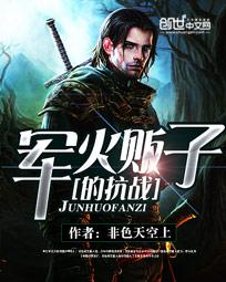 軍火販子的抗戰小說