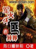 軍火悍匪在異界小說