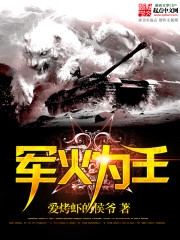 軍火爲王小說