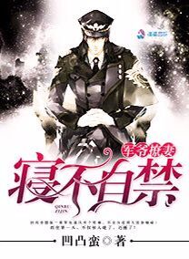軍爺撩妻之情不自禁小說