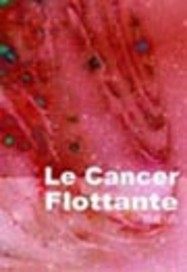 巨蟹座的漂流小說