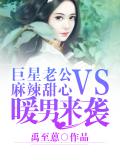 巨星老公VS麻辣甜心：暖男來襲小說