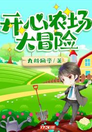 開心農場大冒險小說