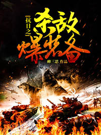 抗日之殺敵爆裝備小說