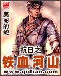 抗日之鐵血河山小說