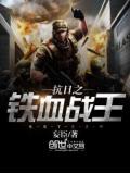 抗日之鐵血戰王小說