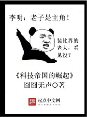 科技帝國的崛起小說
