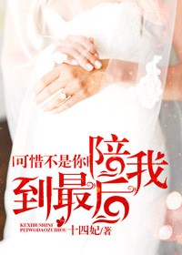 可惜不是你，陪我到最後小說