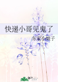 快遞小哥見鬼了小說