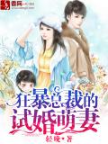 狂暴總裁的試婚萌妻 - 輕晚小說