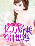 狂寵霸愛：億萬嬌妻別想逃小說