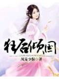 狂後傾國小說