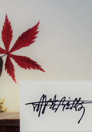 跨時空偵察組小說